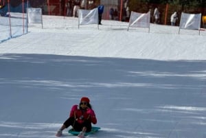 Melbourne: Private Lake Mountain Snow & Redwood Forest Tours