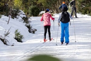 Melbourne: Private turer i innsjøfjellsnø og Redwood-skog