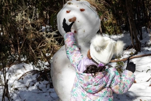 Melbourne: Private turer i innsjøfjellsnø og Redwood-skog