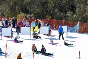 Melbourne: Private turer i innsjøfjellsnø og Redwood-skog