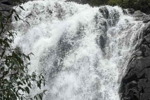 Melbourne: Private turer i innsjøfjellsnø og Redwood-skog