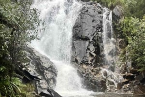 Melbourne: Private turer i innsjøfjellsnø og Redwood-skog