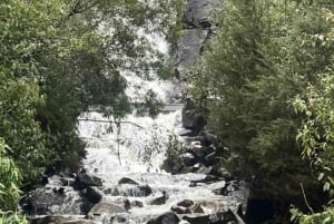 Melbourne: Private turer i innsjøfjellsnø og Redwood-skog