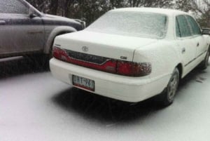 Melbourne: Private turer i innsjøfjellsnø og Redwood-skog