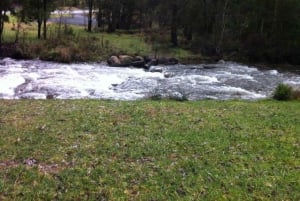 Melbourne: Private turer i innsjøfjellsnø og Redwood-skog
