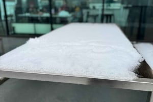 Melbourne: Private turer i innsjøfjellsnø og Redwood-skog