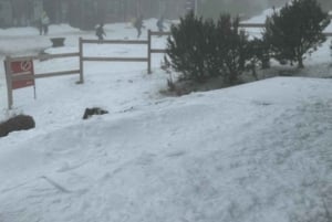 Melbourne: Private turer i innsjøfjellsnø og Redwood-skog