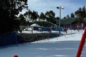 Melbourne: Private turer i innsjøfjellsnø og Redwood-skog