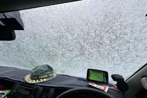 Melbourne: Private turer i innsjøfjellsnø og Redwood-skog