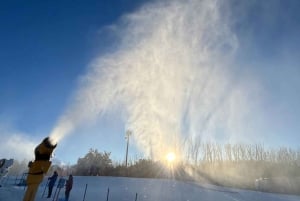 Melbourne: Private turer i innsjøfjellsnø og Redwood-skog