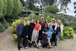 Melbourne: Yksityiset viini- ja juustokierrokset Morningtonin niemimaalla