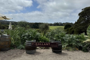 Melbourne: Yksityiset viini- ja juustokierrokset Morningtonin niemimaalla