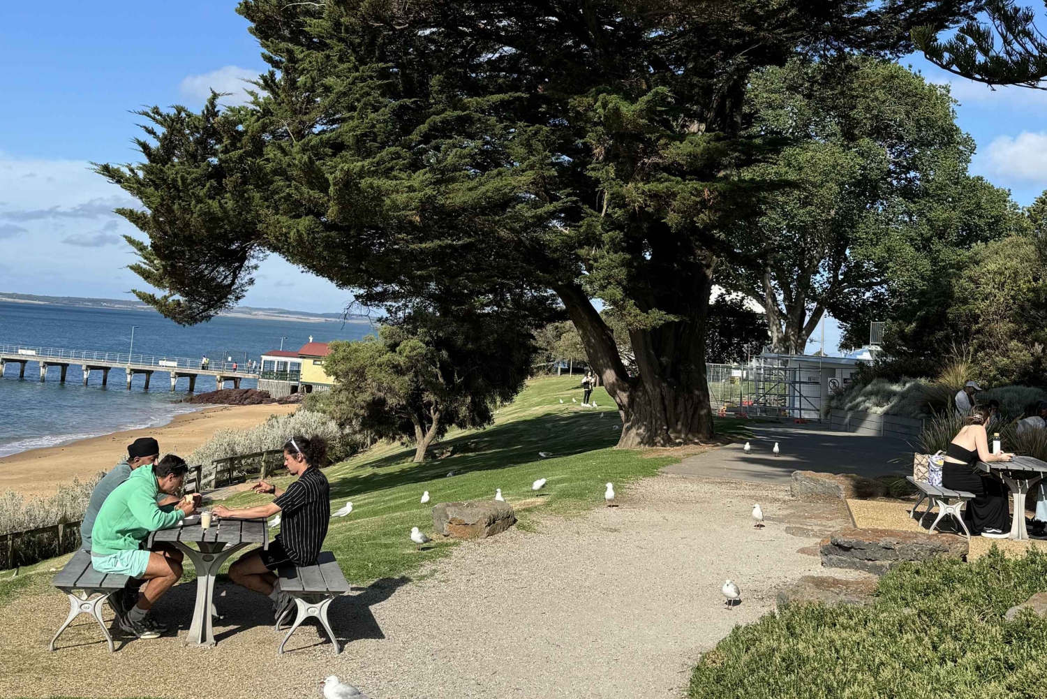 Melbourne: Private Phillip Island Penguin Parade-ture