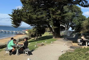 Melbourne: Private Phillip Island Penguin Parade-ture