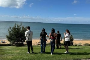 Melbourne: Private Phillip Island Penguin Parade-ture