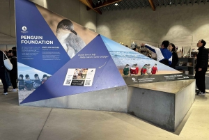 Melbourne: Private Phillip Island Penguin Parade-ture