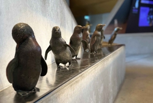 Melbourne: Private Phillip Island Penguin Parade-ture