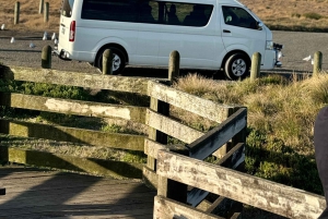 Melbourne: Private Phillip Island Penguin Parade-ture