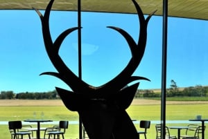 Melbourne: Private Puffing Billy Steam Train Ride