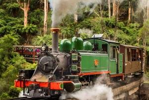 Melbourne : Promenade privée en train à vapeur Puffing Billy