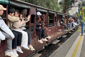 Melbourne : Promenade privée en train à vapeur Puffing Billy