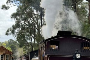 Melbourne : Promenade privée en train à vapeur Puffing Billy