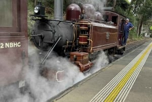 Melbourne : Promenade privée en train à vapeur Puffing Billy