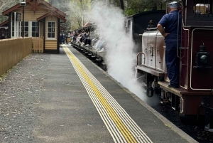 Melbourne : Promenade privée en train à vapeur Puffing Billy