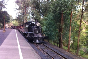 Melbourne : Promenade privée en train à vapeur Puffing Billy