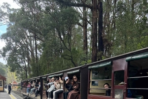 Melbourne : Promenade privée en train à vapeur Puffing Billy