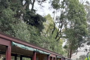 Melbourne : Promenade privée en train à vapeur Puffing Billy