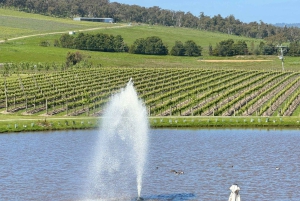 Melbourne: Private Wine tasting Yarra Valley Tours