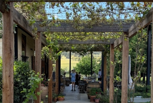 Melbourne: Private Wine tasting Yarra Valley Tours