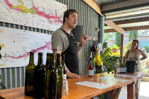 Melbourne: Private Wine tasting Yarra Valley Tours
