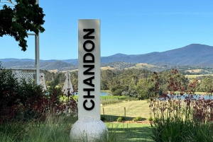 Melbourne: Private Wine tasting Yarra Valley Tours