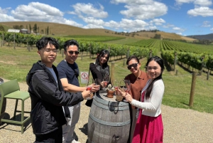 Melbourne: Private Wine tasting Yarra Valley Tours