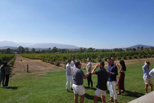 Melbourne: Private Wine tasting Yarra Valley Tours
