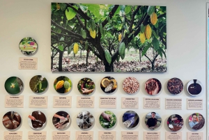 Melbourne: Private Wine tasting Yarra Valley Tours