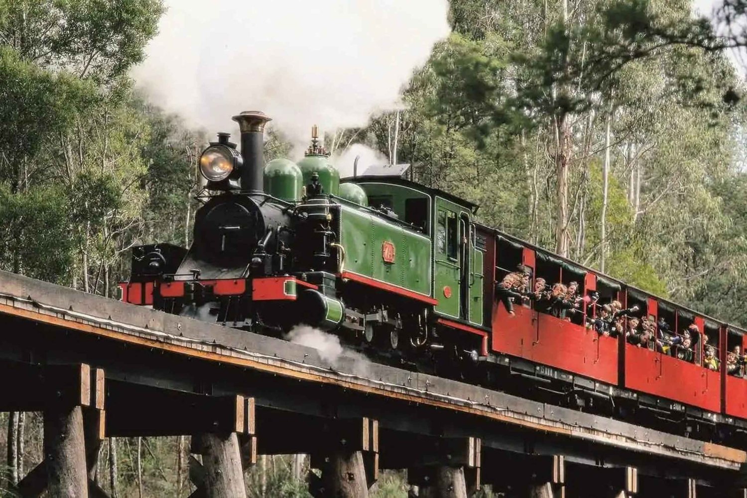 Melbourne: Puffing Billy en Moonlit Sanctuary dagtocht