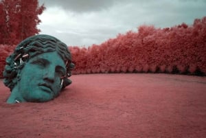 Melbourne: Puffing Billy en Moonlit Sanctuary dagtocht