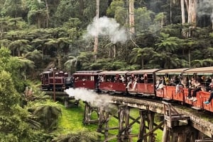 Melbourne: Puffing Billy en Moonlit Sanctuary dagtocht