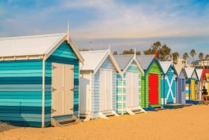 Melbourne: Puffing Billy en Moonlit Sanctuary dagtocht