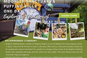 Melbourne: Puffing Billy en Moonlit Sanctuary dagtocht