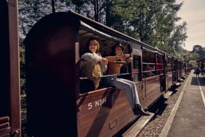 Melbourne: Puffing Billy Railway & Penguin Parade Day Tour