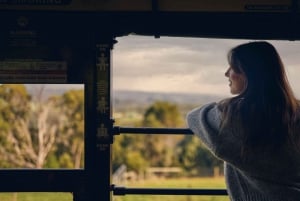 Melbourne: Puffing Billy Railway & Penguin Parade Day Tour