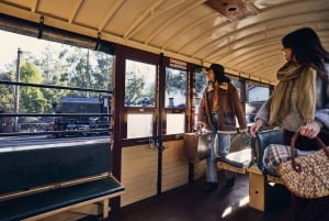 Melbourne: Puffing Billy Railway & Penguin Parade Day Tour