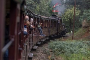 Melbourne: Puffing Billy Railway & Penguin Parade Day Tour