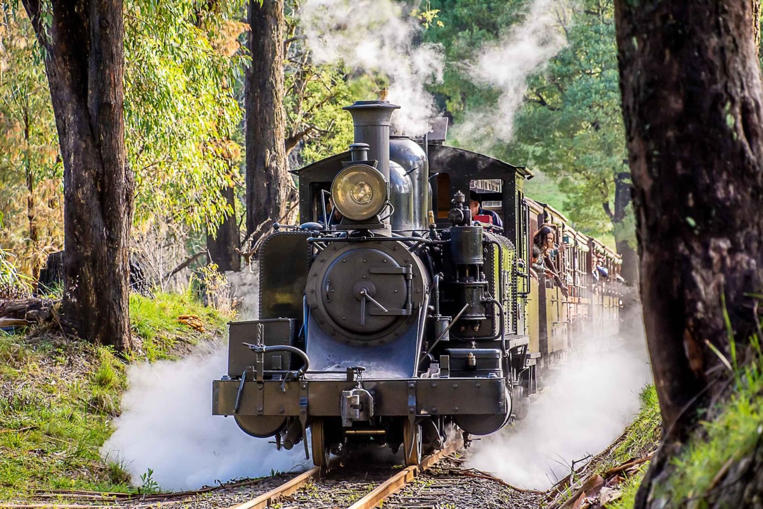 Melbourne Puffing Billy og pingviner dagsomvisning