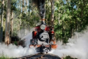 Melbourne Puffing Billy og pingviner dagsomvisning