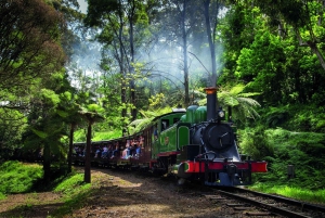 Melbourne Puffing Billy og pingviner dagsomvisning